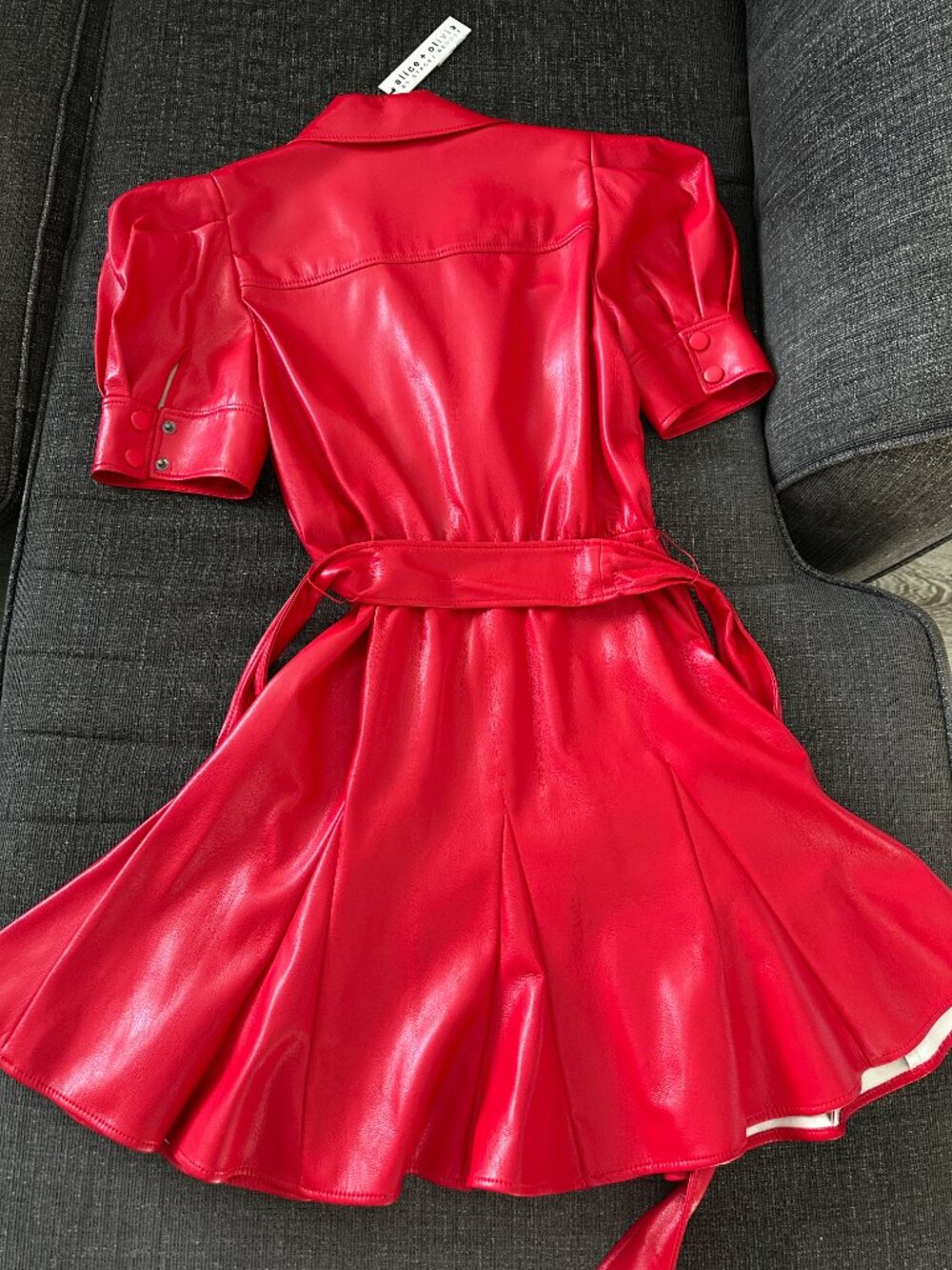 Alice + Olivia Short Sleeve Faux Leather Red Dress - Picture 9 of 10